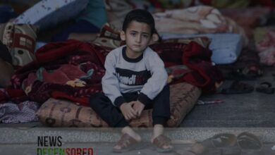 Gaza's homeless children