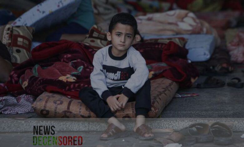 Gaza's homeless children