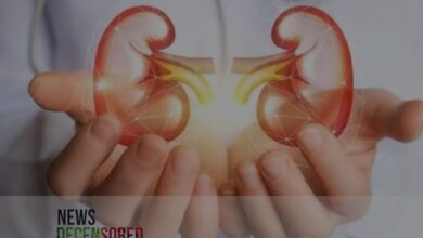 Unveiling the Signs: Symptoms of Eight Common Kidney Diseases