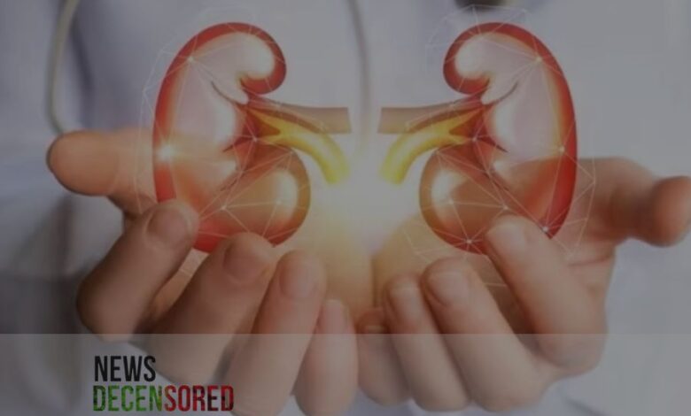 Unveiling the Signs: Symptoms of Eight Common Kidney Diseases