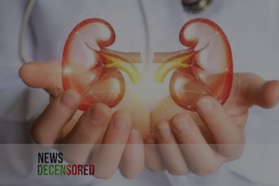 Unveiling the Signs: Symptoms of Eight Common Kidney Diseases