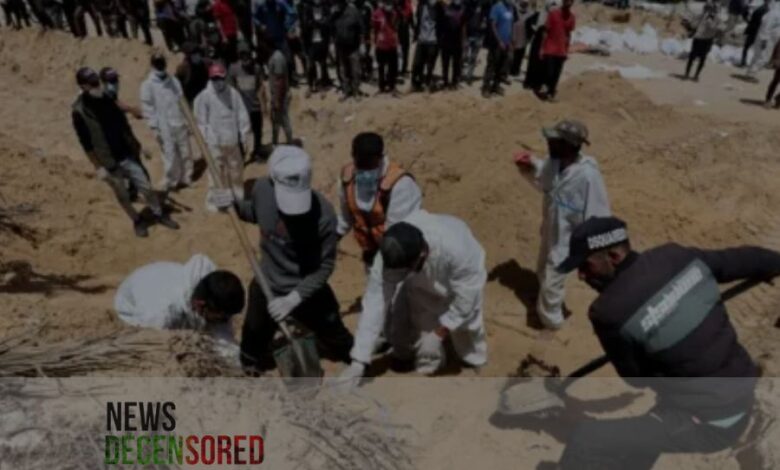 Search for missing families in Gaza mass graves: 'We cannot allow this to be trivialized