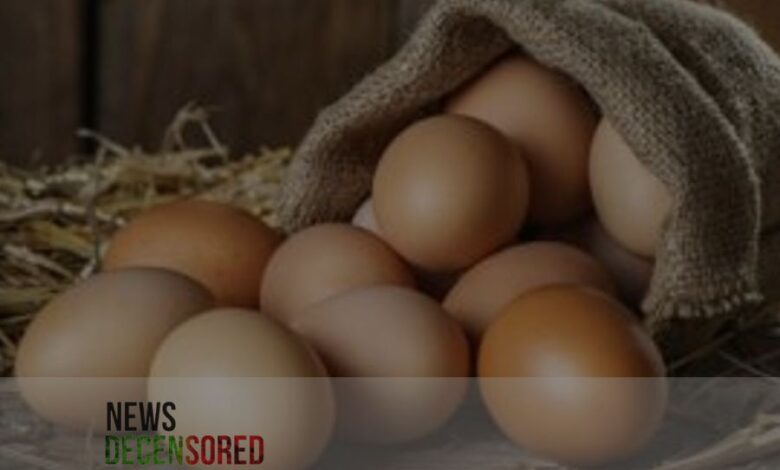 Are wild-caught eggs really more nutritious than farm-raised eggs