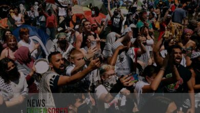 Protest over the gaza war more than 2 thousand people were arrested from US colleges