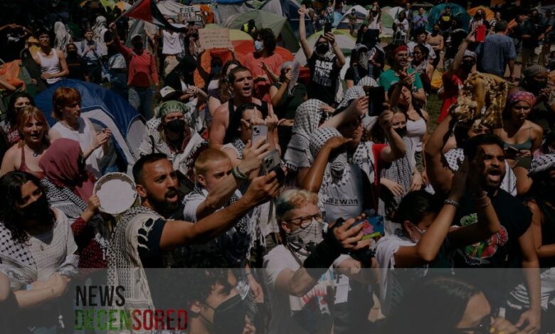 Protest over the gaza war more than 2 thousand people were arrested from US colleges