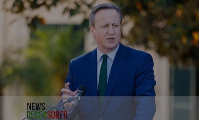 UK ban on arms sales to Israel would strengthen Hamas, Cameron says