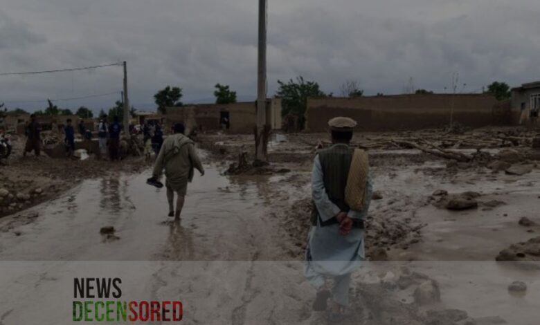 Flash floods in Afghanistan devastate lives and livelihoods