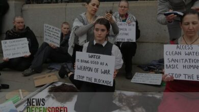 Female Staff of UCL Shave their Heads to Show Support with Gaza