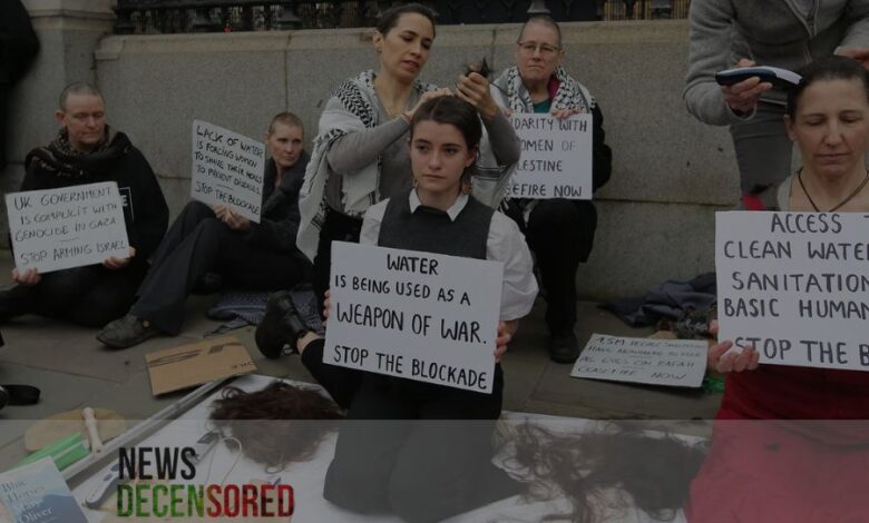 Female Staff of UCL Shave their Heads to Show Support with Gaza