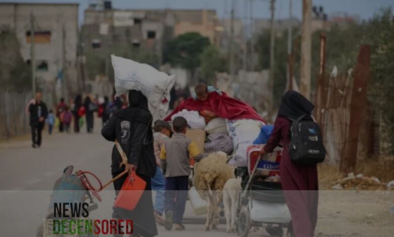 The Evacuation of Rafah: Another Form of Israeli Oppression