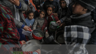 Aid reaching Palestine Falls far short of the daily need to feed millions of starving people