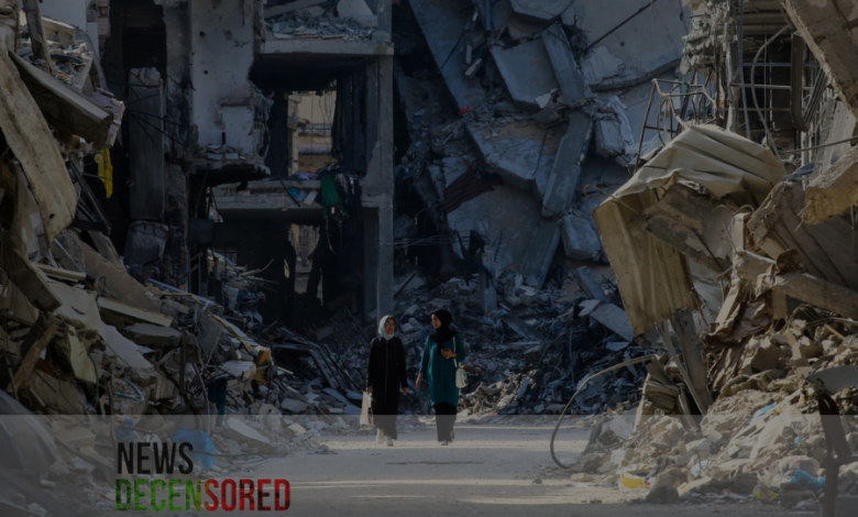 War on Gaza: Israel bombs tents, refugee camps, and service workers on a 'brutal day