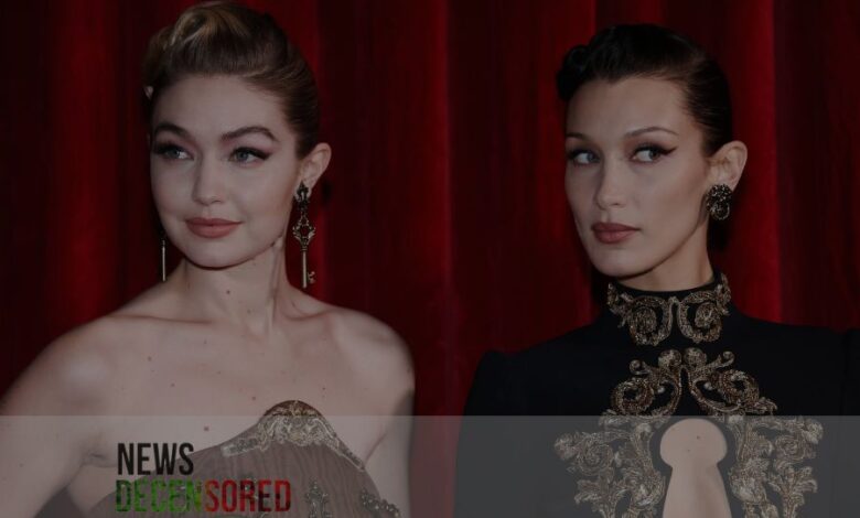 Hadid Sisters donate $1m to Palestinian Humanitarian Relief Funds