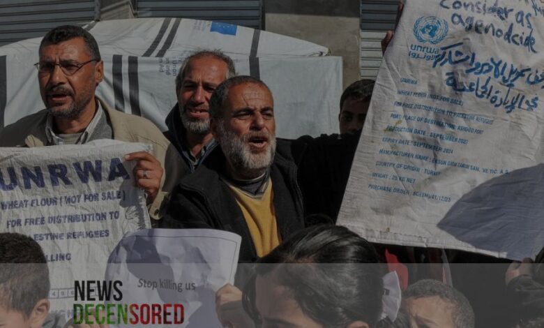 Lawsuit against Unrwa USA seeks to 'drain' resources from Palestinians