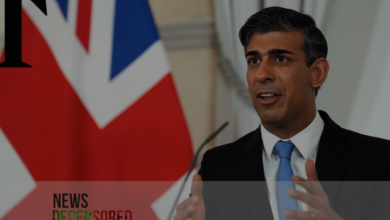 Rishi Sunak slams ICC over Netanyahu arrest warrant