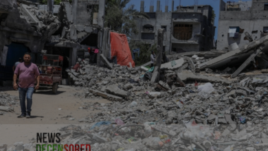 According to the Mayor, over 70% of public facilities in Rafah have been destroyed by the Israeli army