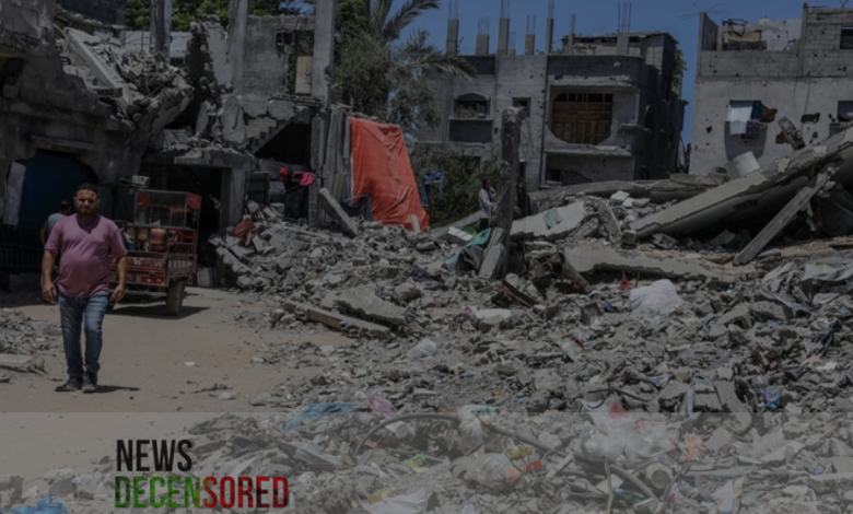 According to the Mayor, over 70% of public facilities in Rafah have been destroyed by the Israeli army