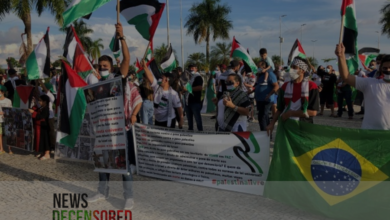 Solidarity in Sao Paulo: Brazilians Rally for Palestine