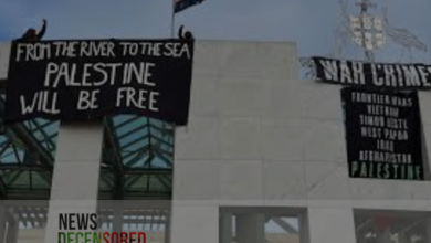 Protesters in solidarity with Palestine climb to the roof of the Australian Parliament