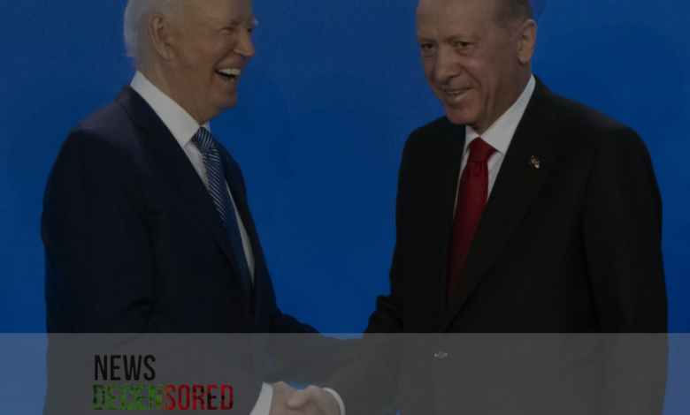 Erdogan criticizes Biden over Ukraine and Gaza at NATO summit