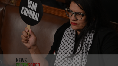 Rashida Tlaib held a sign with 'War Criminal' written on it during Netanyahu's Speech to Congress