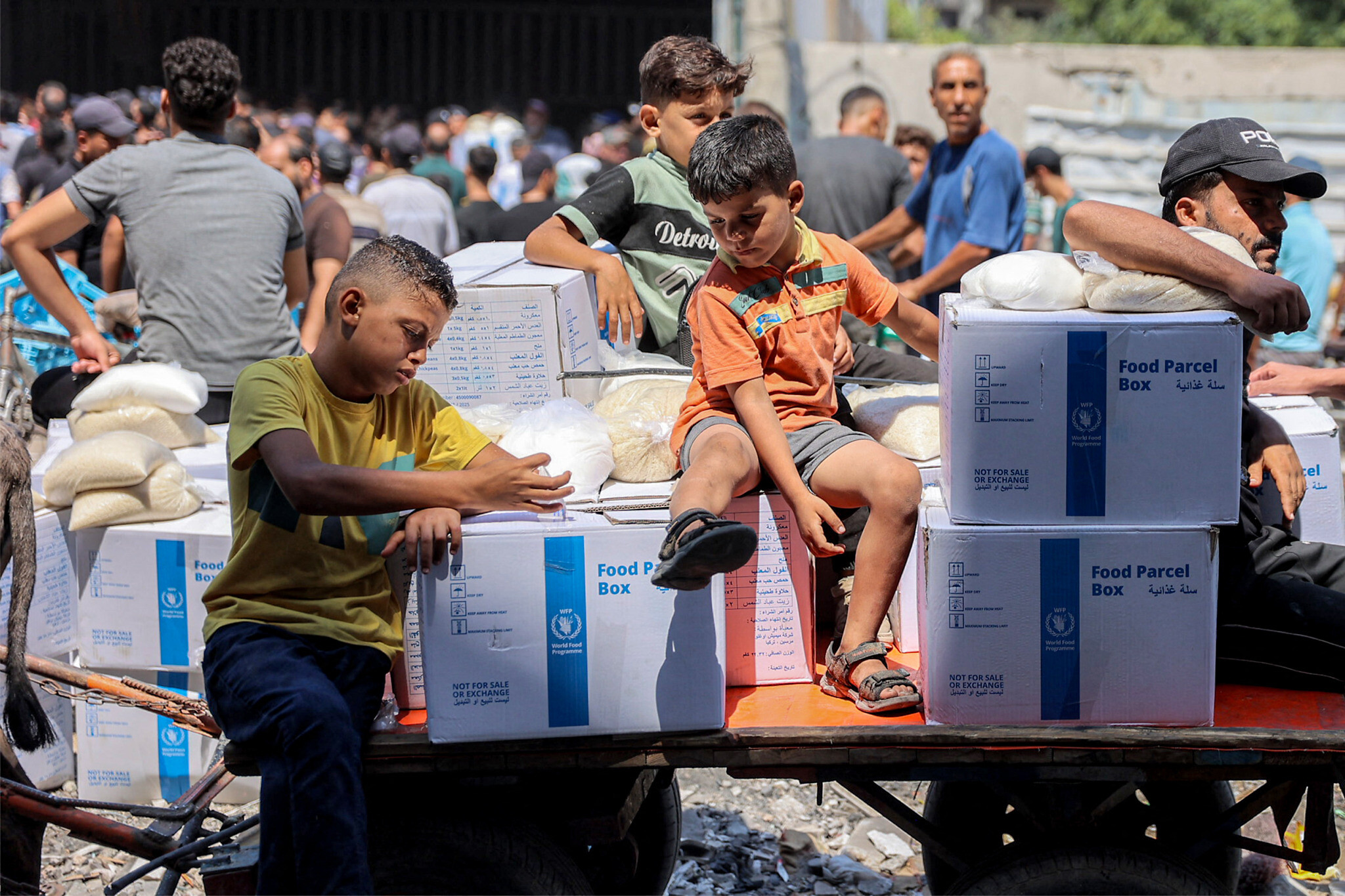  Israel Agrees to Three Days of Humanitarian Pauses in Gaza for Polio Vaccinations