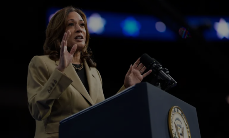 Kamala Harris tells pro-Palestine protesters ‘Now is the time for ceasefire’