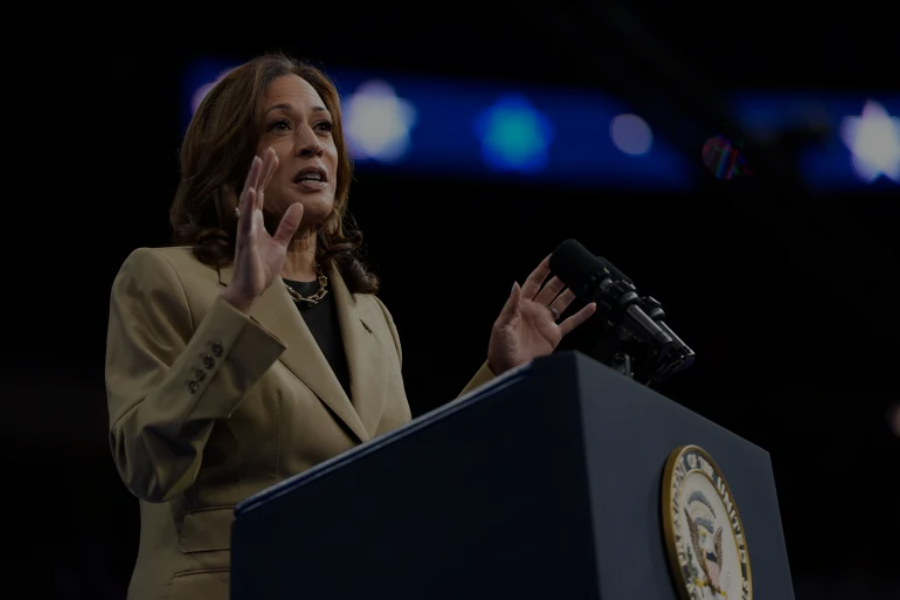 Kamala Harris tells pro-Palestine protesters ‘Now is the time for ceasefire’