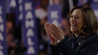 Kamala Harris caps convention with call to end Gaza war, fight tyranny