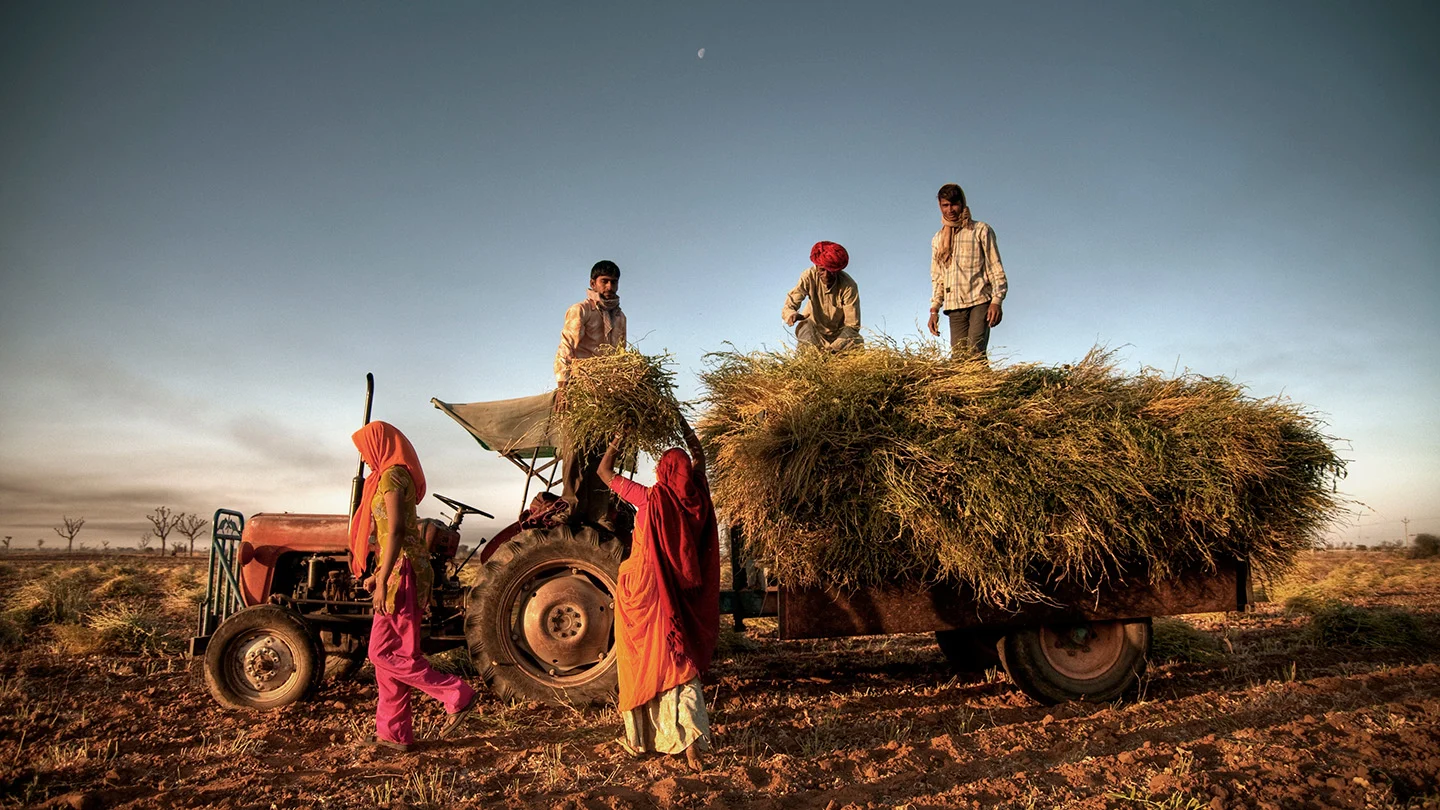 India’s Start-Ups Turn to Rural Markets for Growth