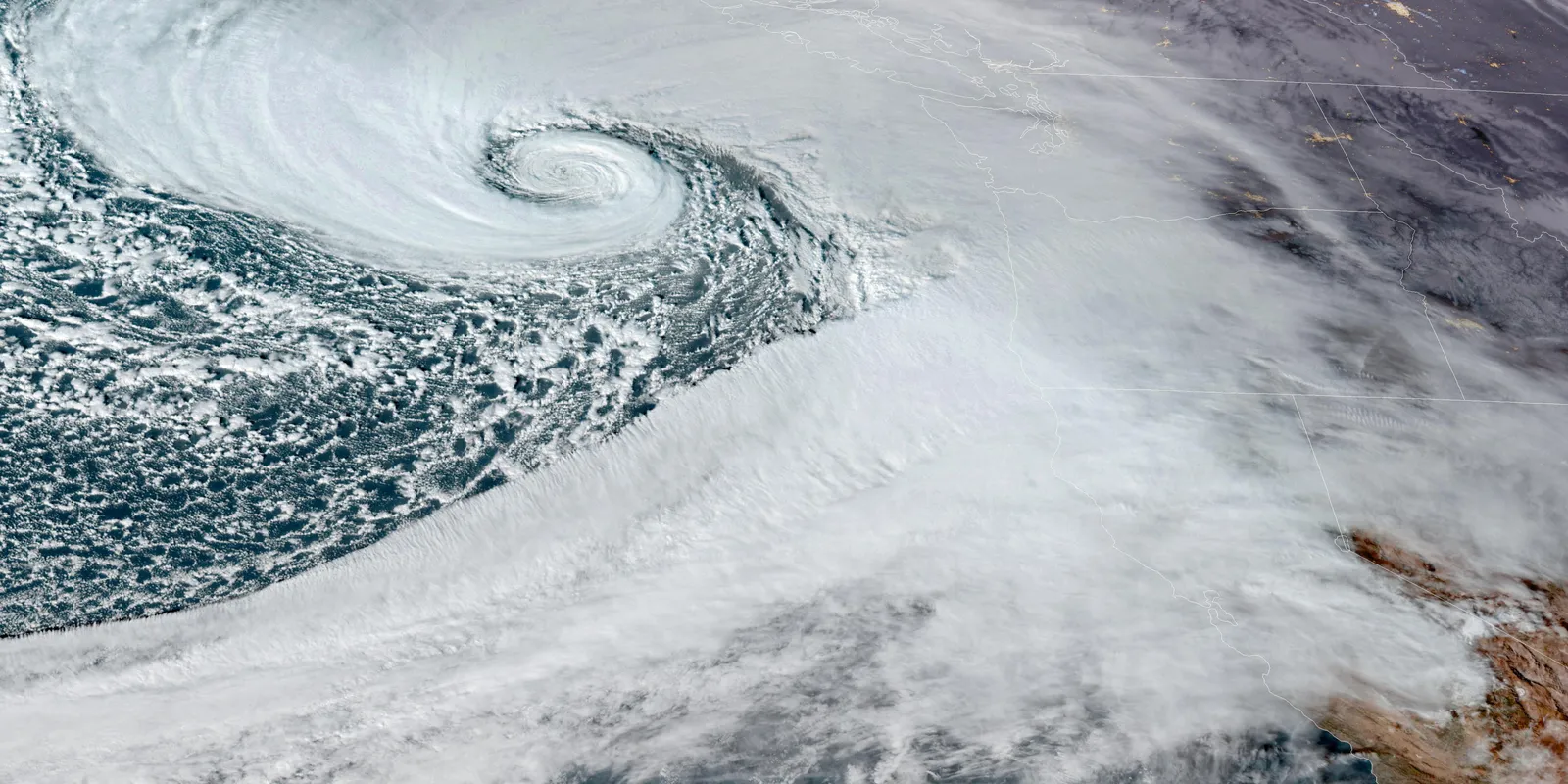 Deadly Bomb Cyclone Knocks Out Thousands of Power Customers in the U.S. Northwest.