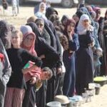 Looting of UN Aid Convoy Deepens Gaza's Humanitarian Crisis